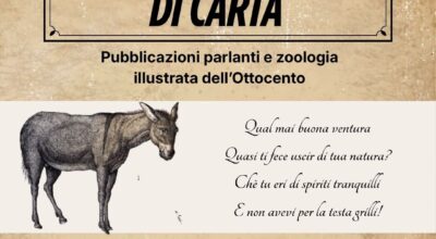 Animali di carta