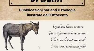 Animali di carta